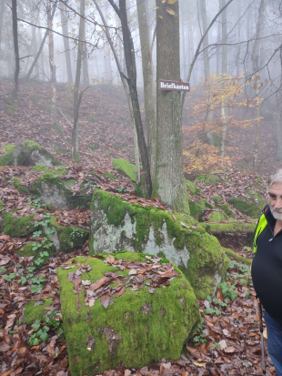 Leistadt, 
Sieben-Waldwunder-Weg,
10. November 2024 